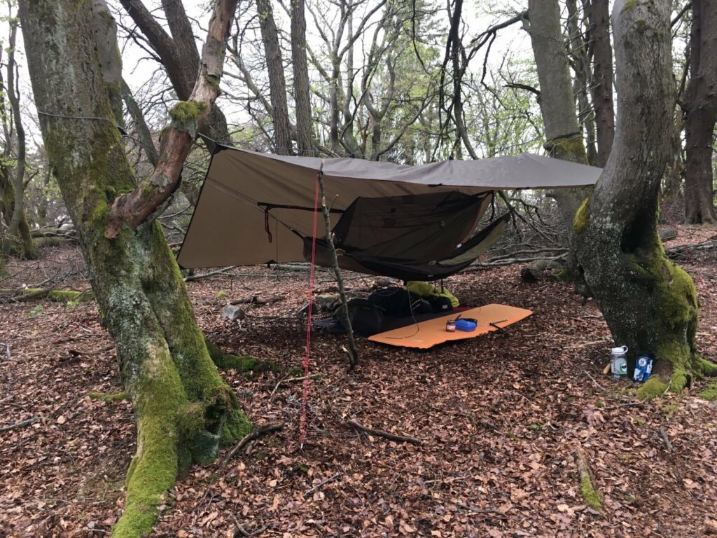 Campen in Zelt oder Auto? Vor- und Nachteile beim Schlafen in der Natur -  STAY WILD - OUTDOOR